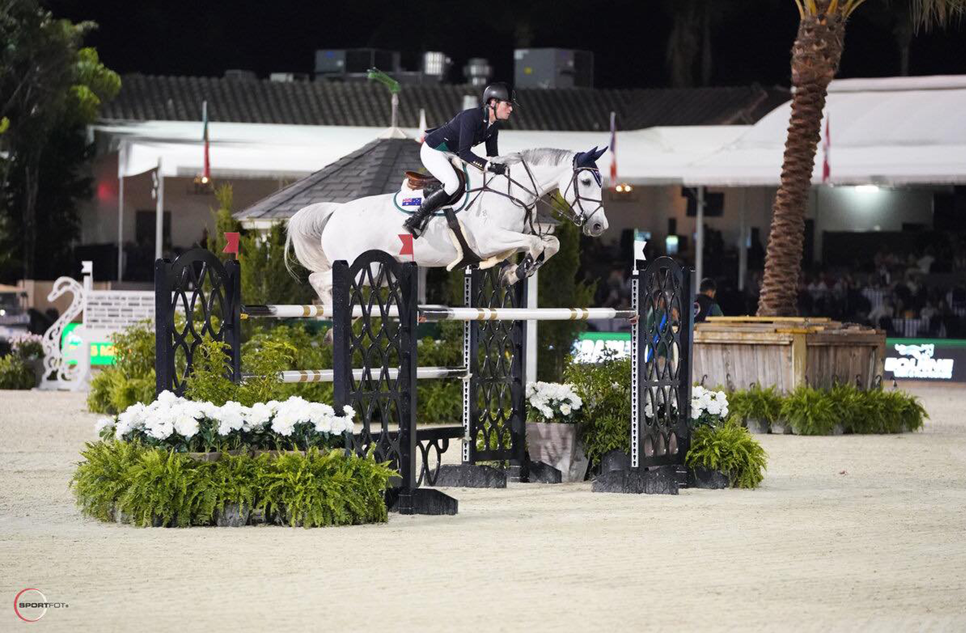 Hilary and ‘Milky Way’ in Wellington Nations Cup