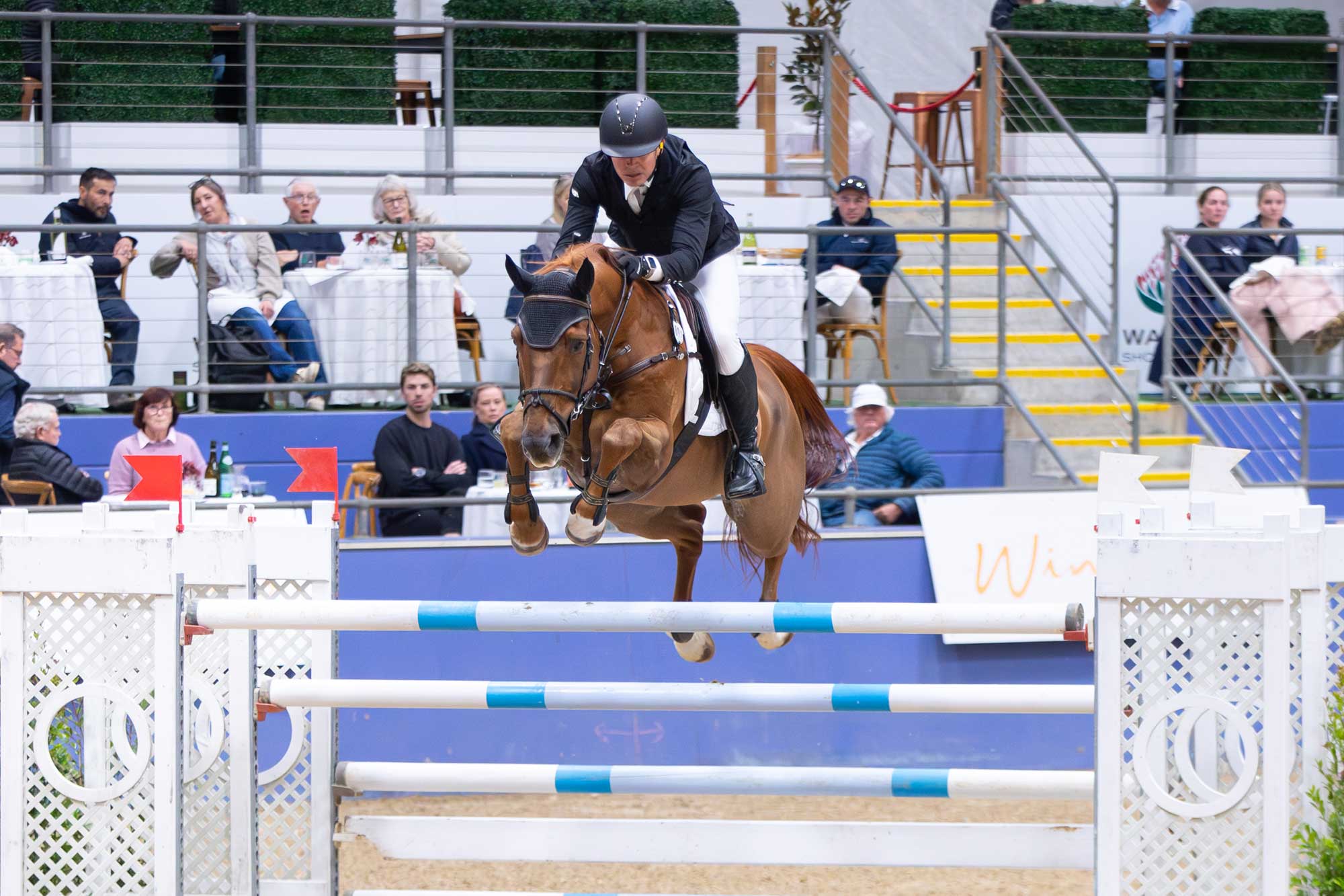 Another World Cup Qualifier victory for Oaks Cassanova