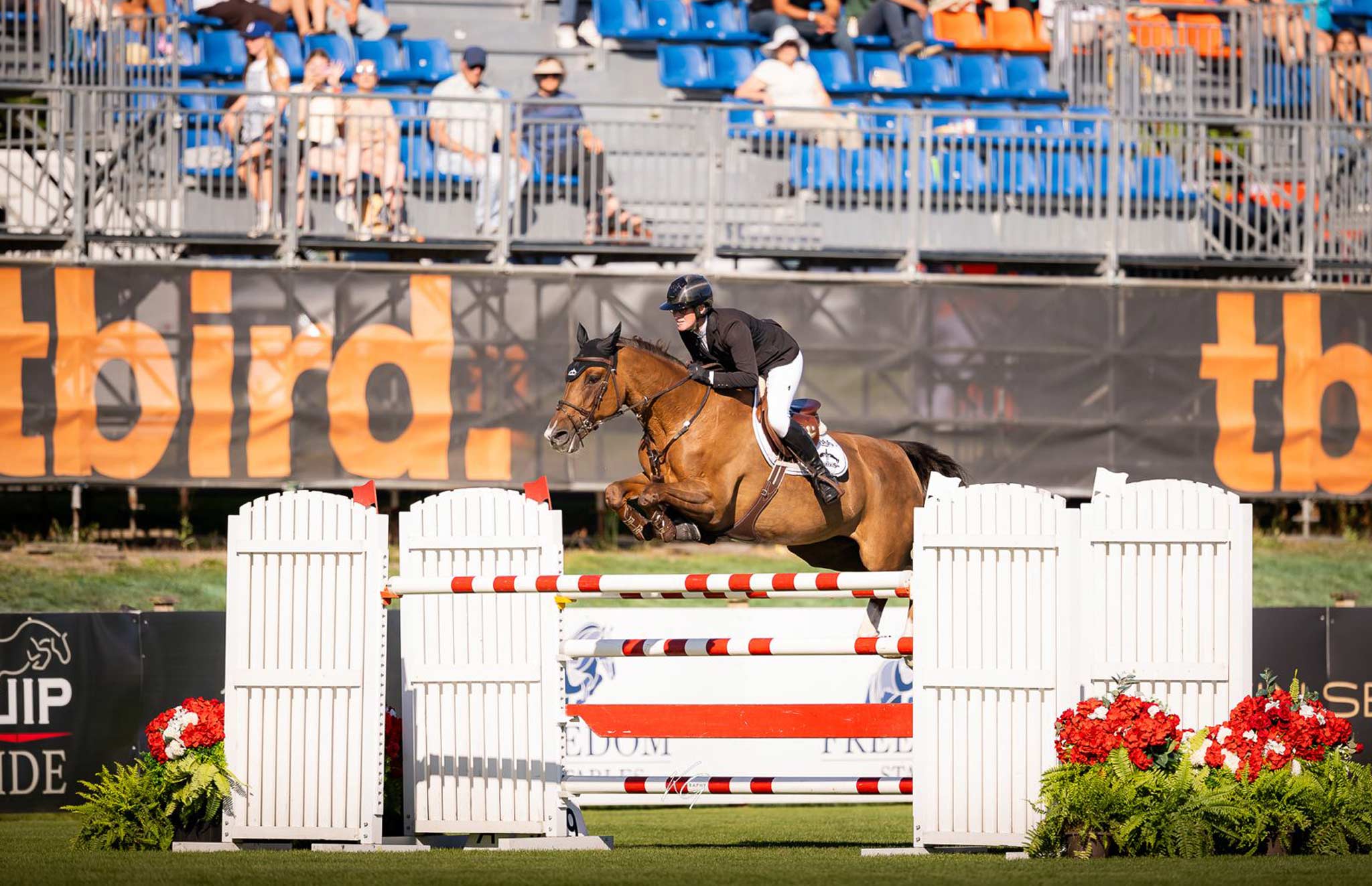 Clearbelle 3 Z Shines at Thunderbird Show Park