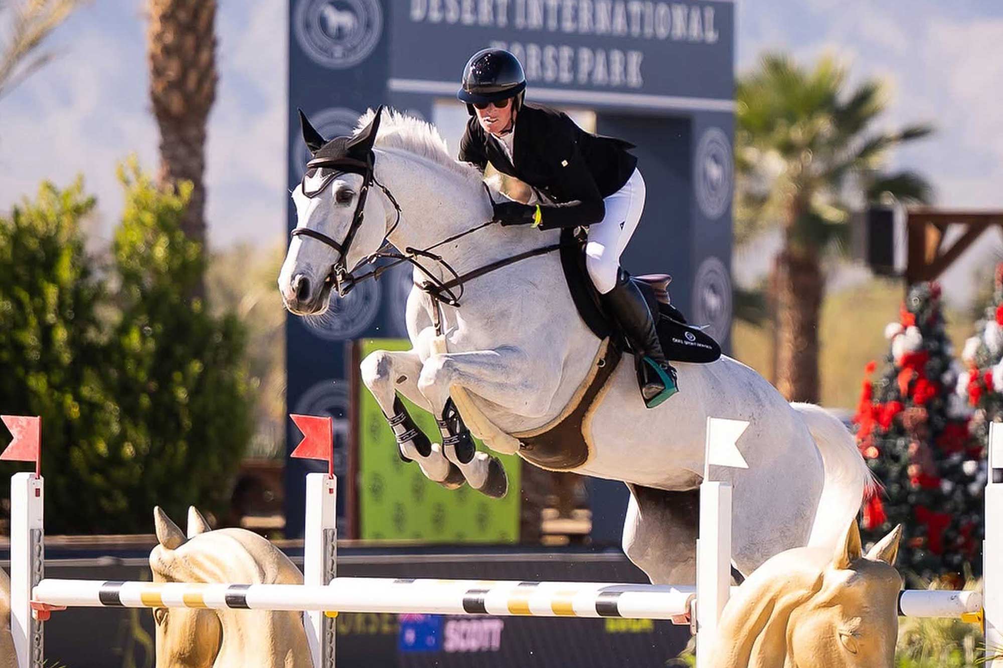 Hilary Scott Breaks into the FEI World Top 200